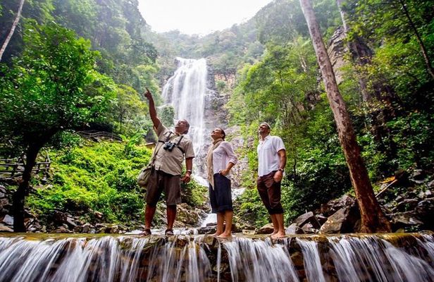 Langkawi Rainforest Jungle Trekking Tour with Private Pickup