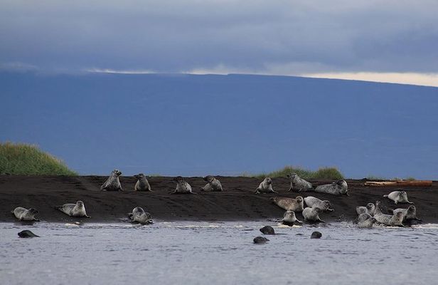 Wild North Iceland Exploration by Super Jeep from Reykjavik