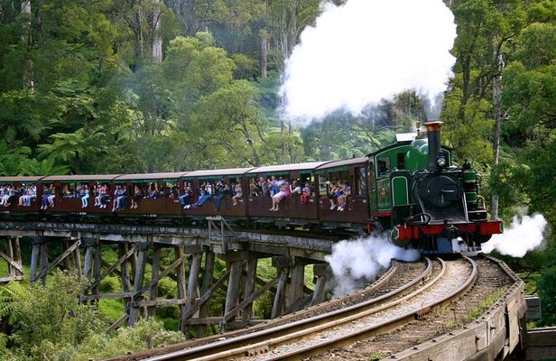 Private Dandenong Ranges Tour including Puffing Billy