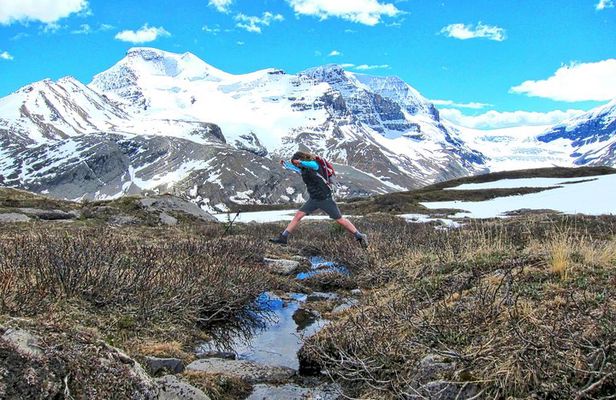 Banff to Jasper One-Way Tour