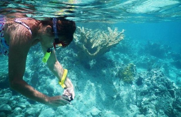 Private day tour: Indonesia Batam Island Reef Snorkel & Kayak from Singapore