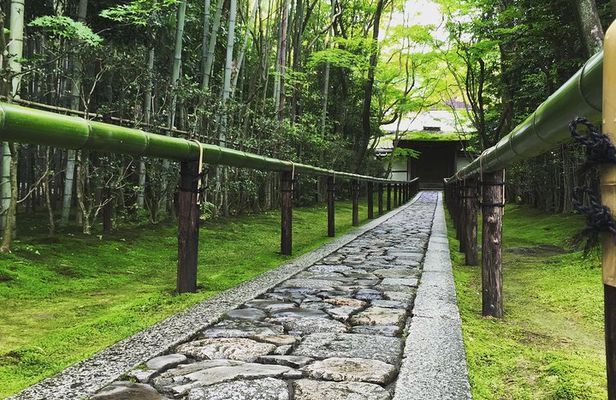 Hidden Kyoto E-Biking tour