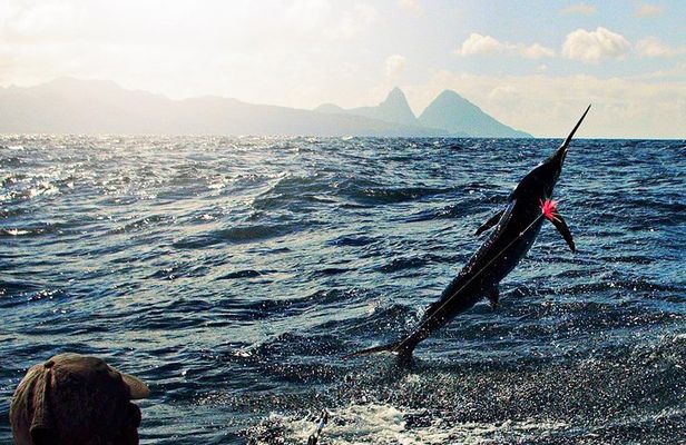 St Lucia Sport Fishing Tour
