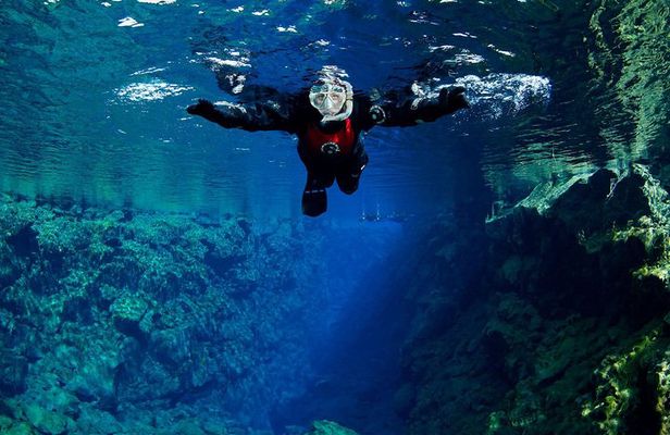 Silfra: Snorkeling Between Tectonic Plates Pick Up from Reykjavik