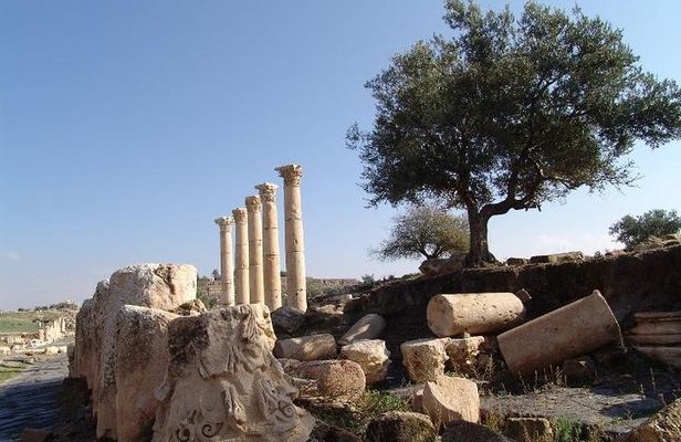 Private Guided Umm Quais and Jerash tour with lunch