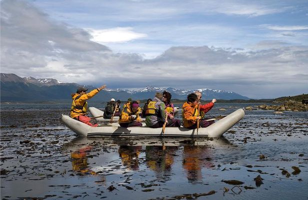Full-Day Gable Island Eco-Adventure in the Beagle Channel