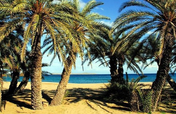 Palm forest of Vai - Monastery Toplu - North Coast Adventure Tour