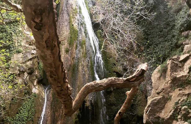 Richtis Waterfall, History, Azoria, OliveTasting, NorthCoast