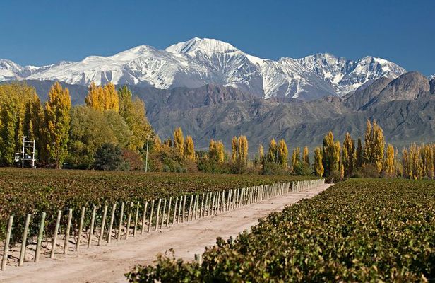 4-Day Trip to Mendoza by Air from Buenos Aires