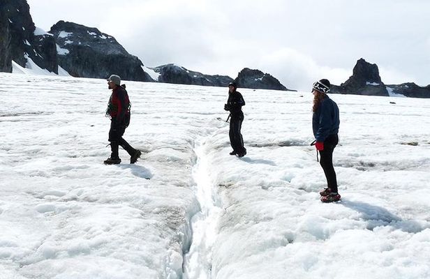 Albino's Eye Glacier Full-Day Trekking Tour from Ushuaia