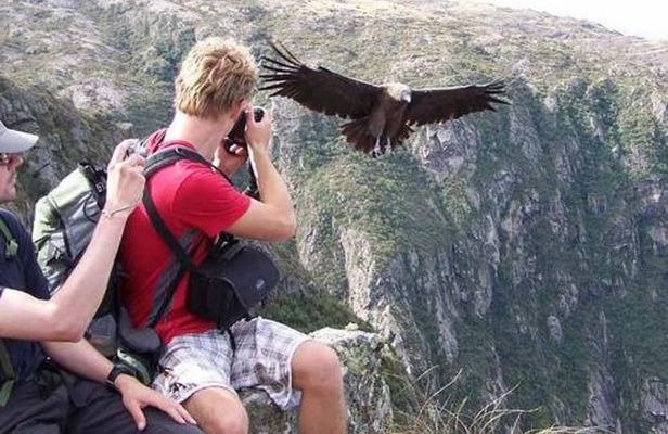 Mendoza Trekking Tour in Cordón del Plata with Argentine Lunch