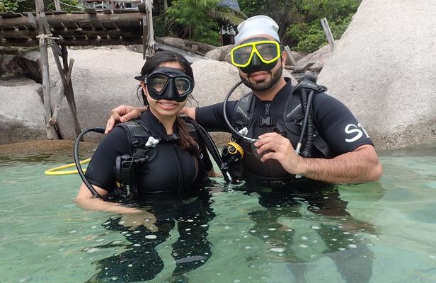 PADI Discover Scuba Diving in Koh Tao - half day and two dives