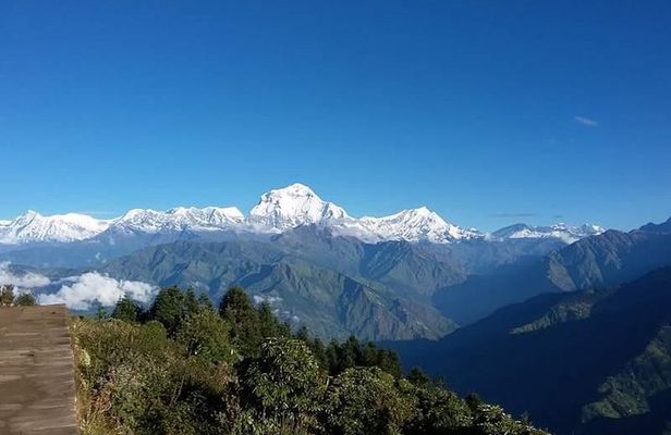 Ghorepani(Poonhill Trek)