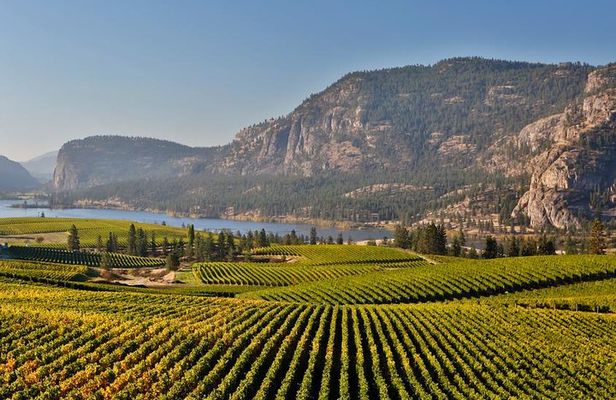 East Kelowna Wine Tour - Classic - 4 Wineries