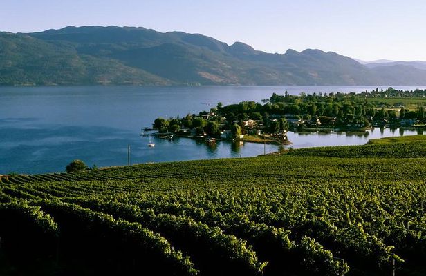 West Kelowna Wine Tour - Classic - 4 Wineries