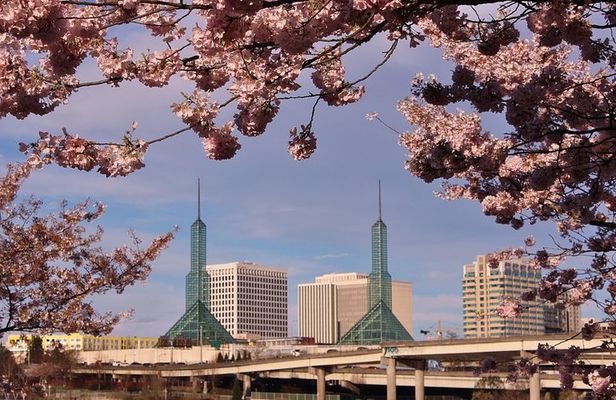 Portland Afternoon City Tour