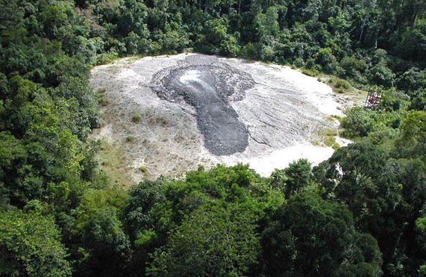 3-Day Adventure in Tabin Wildlife Reserve