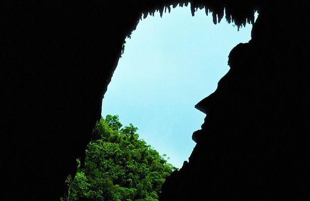 3-Day Adventure in Mulu National Park