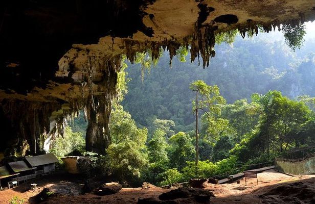 Historical Niah National Park Day Trip from Miri