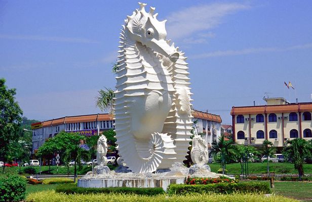Half-Day Sightseeing Tour of Miri City
