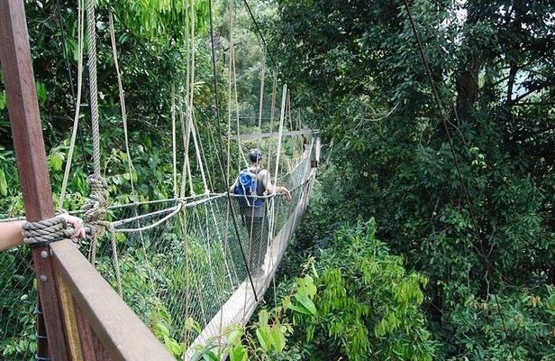 4-Day Jungle Experience in Taman Negara from Kuala Lumpur