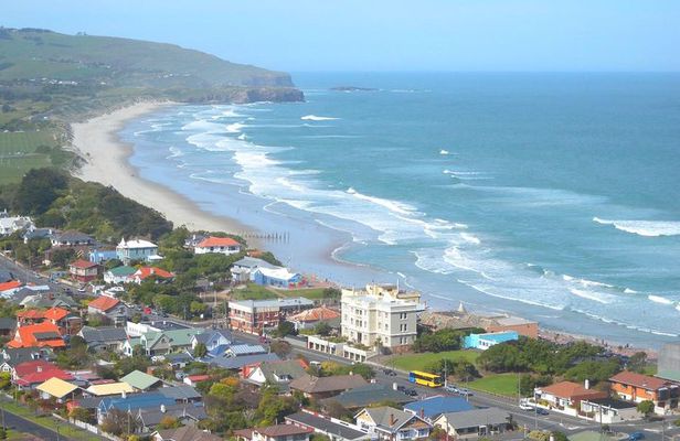 Private Guided Tour of Dunedin City Heritage and Unique Wildlife and Scenery