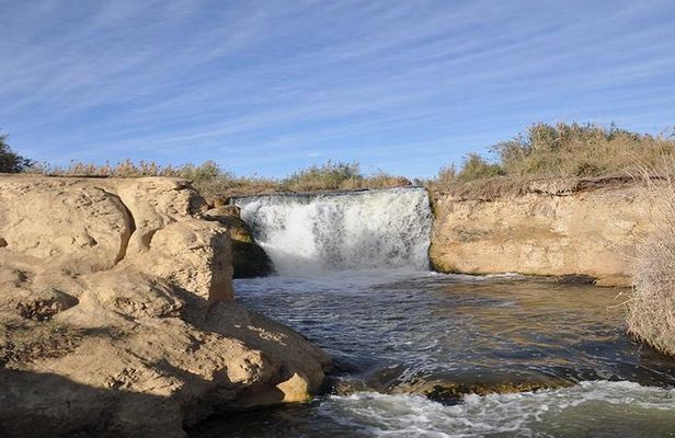 Day tour to Fayoum oasis from Cairo or Giza