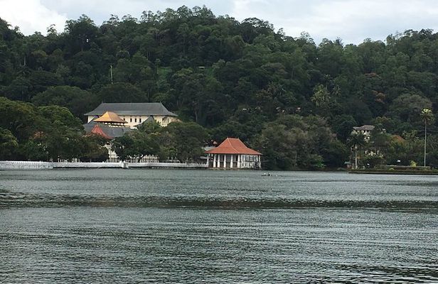 Kandy Private Day Tour