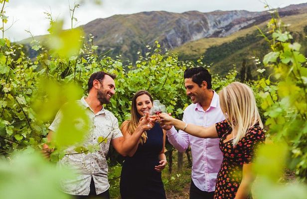 Award Winning Premium Wine Tour Queenstown Tasting at 4 Wineries