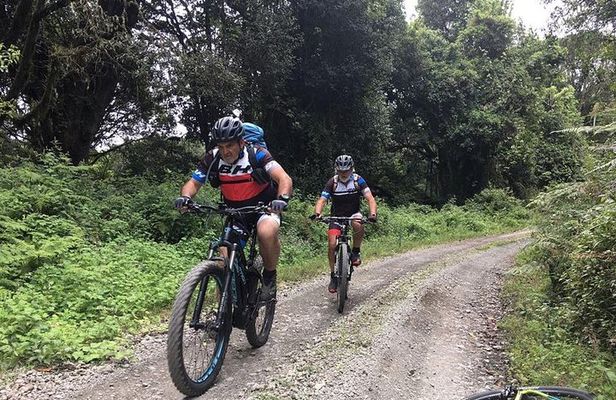 1 day Kilimanjaro Cycle Shira Route