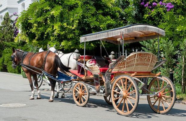 Buyukada Princes’ Island Guided Day Tour with lunch from Istanbul