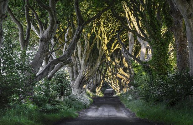 Game of Thrones and Giant's Causeway Full-Day Tour from Belfast
