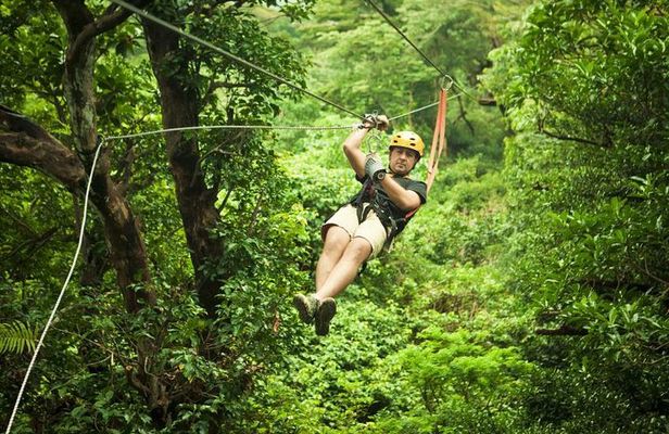 Antigua Zipline Canopy Adventure from St John’s
