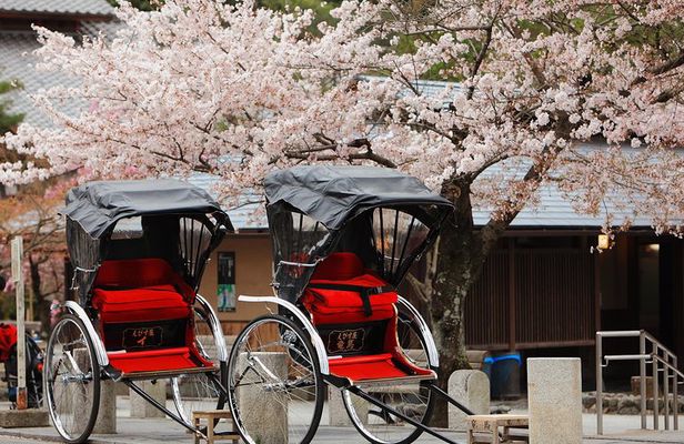 Private Custom Tour: Kyoto in One Day