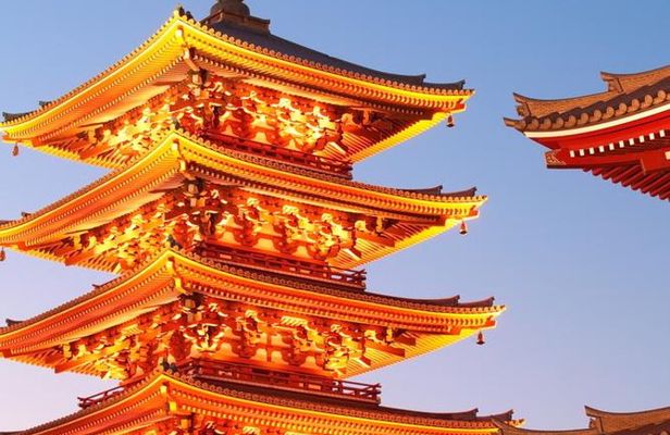 Private Custom Tour: Tokyo in a Day