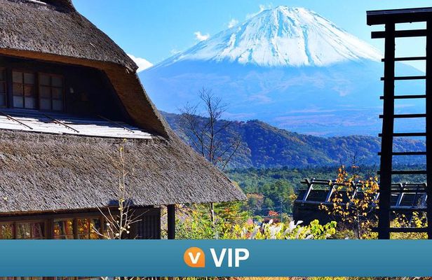 VIP: Mt Fuji Private Tour with Sengen Shrine Visit from Tokyo