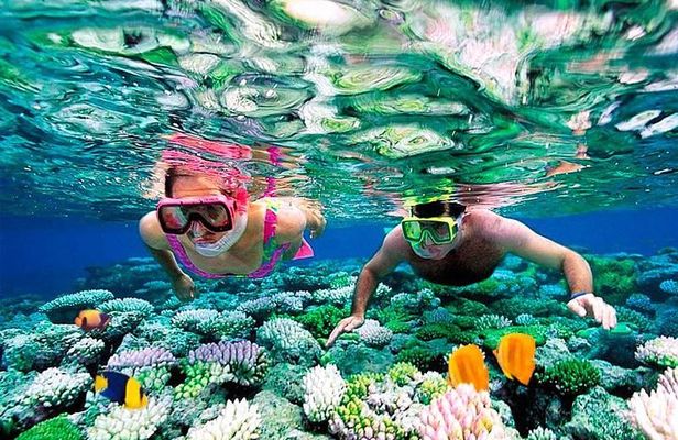 Riviera Maya Snorkeling