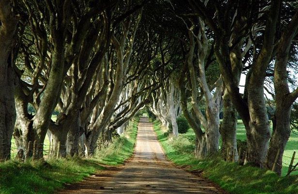 Game of Thrones and Giant's Causeway Day Tour from Belfast