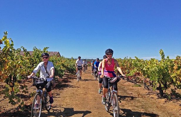 Healdsburg Cycling Wine Tour 