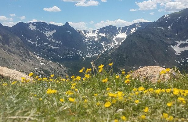 Rocky Mountain National Park in Summer Tour from Denver