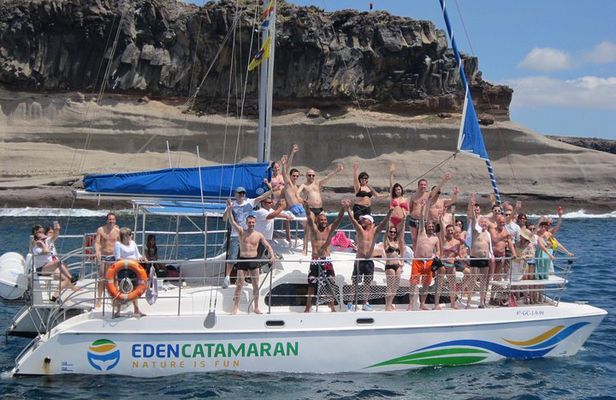 Most Famous Catamaran in Tenerife Island (2 hours and 3 hours tours)