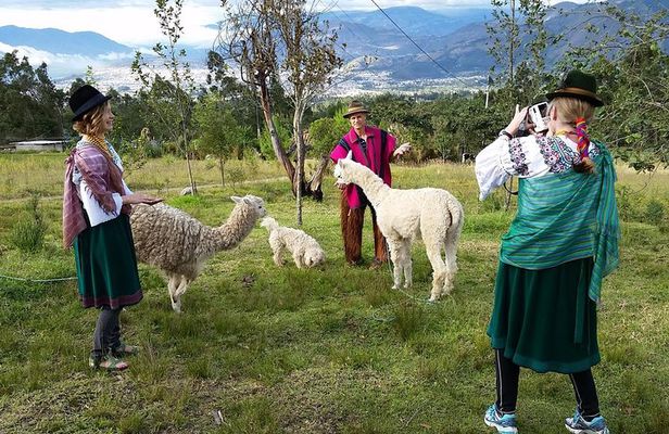 10-Day Ecuador Highlights