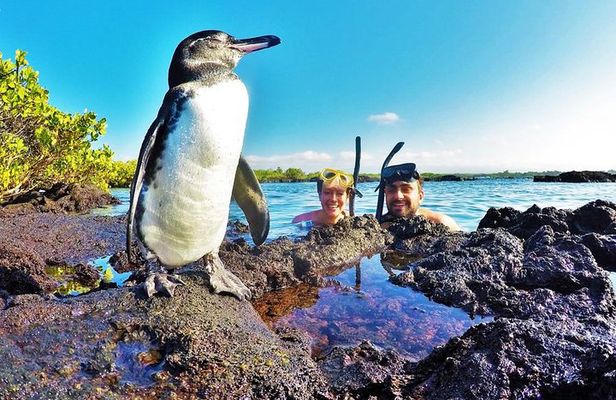 12-Day The Best Of Ecuador & Galapagos 