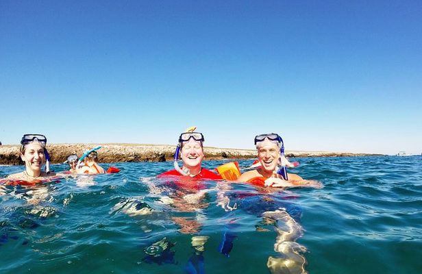 Marietas Islands snorkeling & Hidden beach (w/ restrictions)