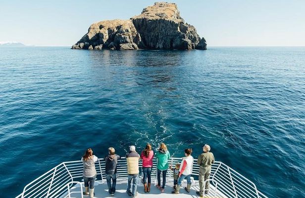 Kenai Fjords National Park Glacier & Wildlife Tour from Seward