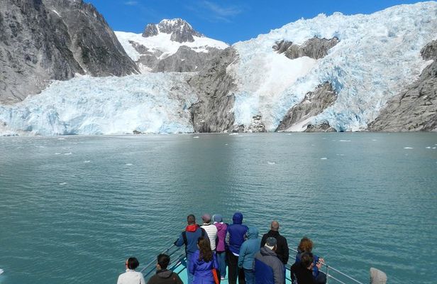 Full day Northwestern Glacier & Wildlife Tour from Seward
