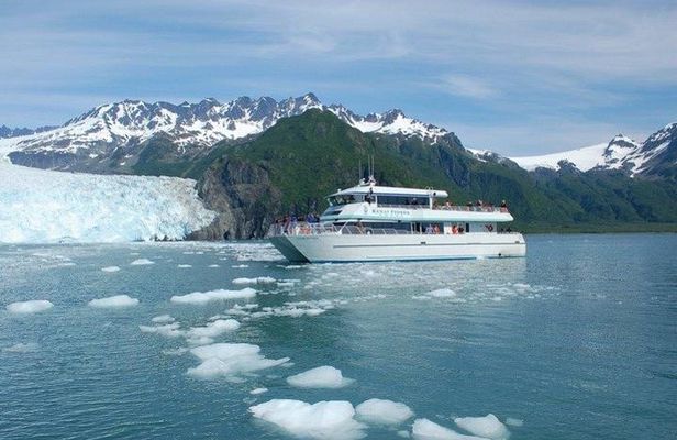 Seward Shore Excursion: Pre- or Post-Cruise Kenai Fjords National Park Tour