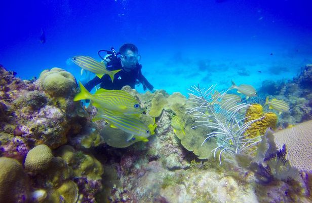 First Time Scuba Diving Experience in Punta Cana