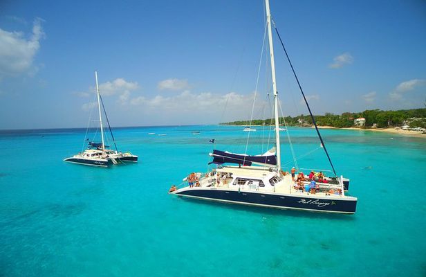 Catamaran and Snorkeling Cruise At Carlisle Bay