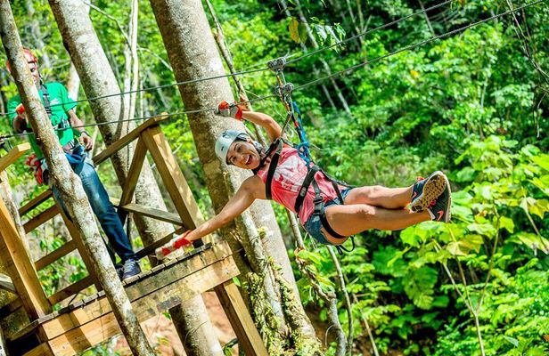 Treetop Zipline Experience From Castries